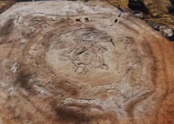 5000 metų senumo tvirtovėje archeologai rado radinį be jokio paaiškinimo: mokslininkai sutrikę