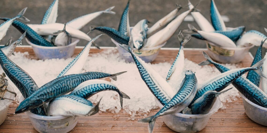 blue and white fish on brown wooden board