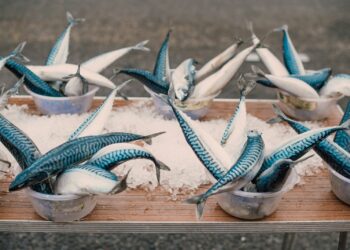 blue and white fish on brown wooden board