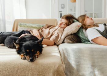 CES 2026 sprogdina rinką: „Samsung“ DI įrenginiai parodė, kad išmanūs namai be jų – atgyvena