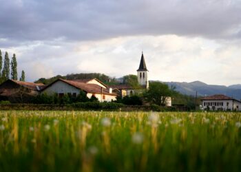 green grass field and houses during daytime