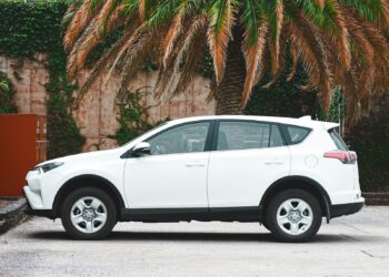 white suv parked near palm tree during daytime