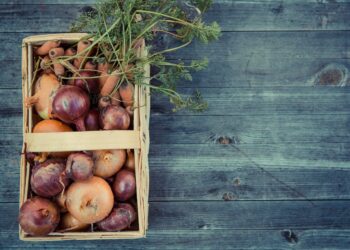 Kūčių stalui – du pigūs, bet prabangiai skanūs svogūnų receptai, kurių dar nebandėte