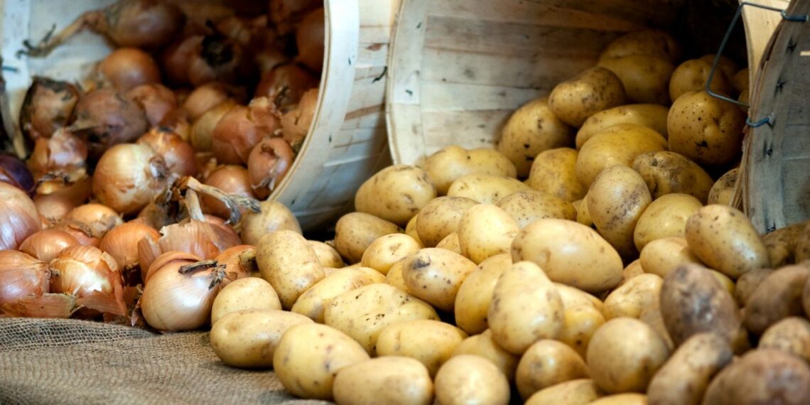 Lemtinga klaida virtuvėje: kodėl bulvių ir svogūnų kartu laikyti NEGALIMA – gadinate viską!