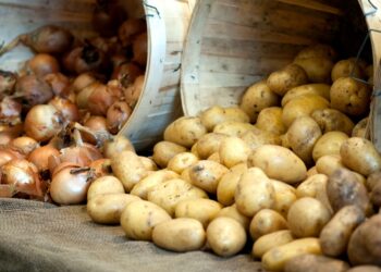 Lemtinga klaida virtuvėje: kodėl bulvių ir svogūnų kartu laikyti NEGALIMA – gadinate viską!