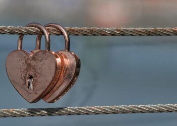 Mokslininkai įvardijo 6 gyvūnus, kurie visą gyvenimą lieka ištikimi vienam partneriui – kai kurie nustebins