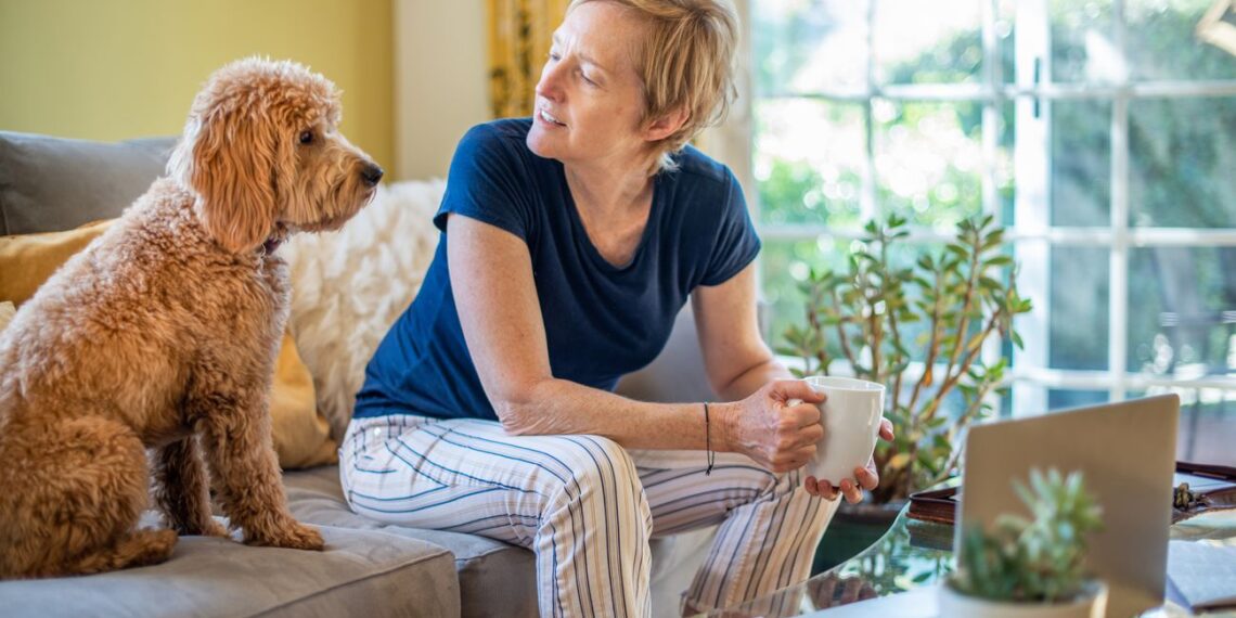 Šuo ant sofos: garsus kinologas atskleidė tiesą, kurios šeimininkai nenori girdėti