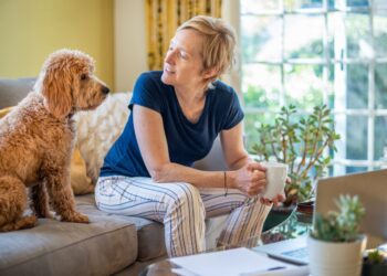 Šuo ant sofos: garsus kinologas atskleidė tiesą, kurios šeimininkai nenori girdėti