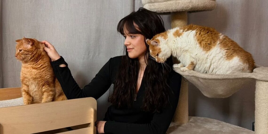 21-metė parodė Lietuvai, kas nutinka, kai priglaudi benamius katinus – internetas kraustosi iš proto