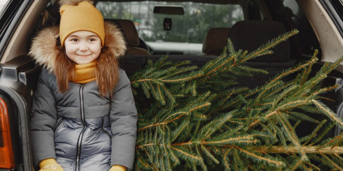 4 lemtingos klaidos vežant kalėdinę eglutę automobiliu: taip sugadinsite saloną ir kėbulą