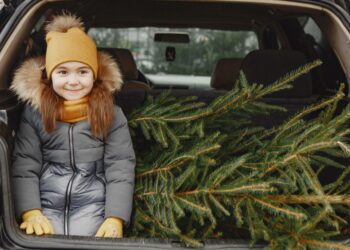 4 lemtingos klaidos vežant kalėdinę eglutę automobiliu: taip sugadinsite saloną ir kėbulą