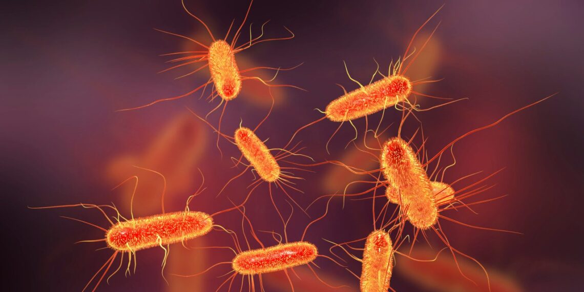 5 mln mirčių per metus: tylioji pandemija be karantino – ar antibiotikai dar mus išgelbės?