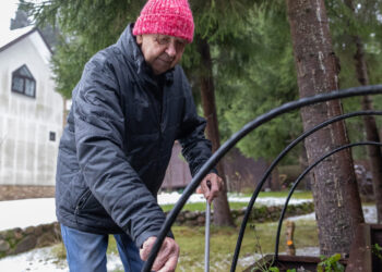 5 klaidos sode žiemą, kurios naikina jūsų augalus: darote bent vieną iš jų?
