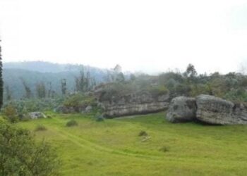 5500 metų skeletas atskleidė šokiruojančią tiesą: sifilio kilmė iš Amerikos sukrėtė mokslininkus