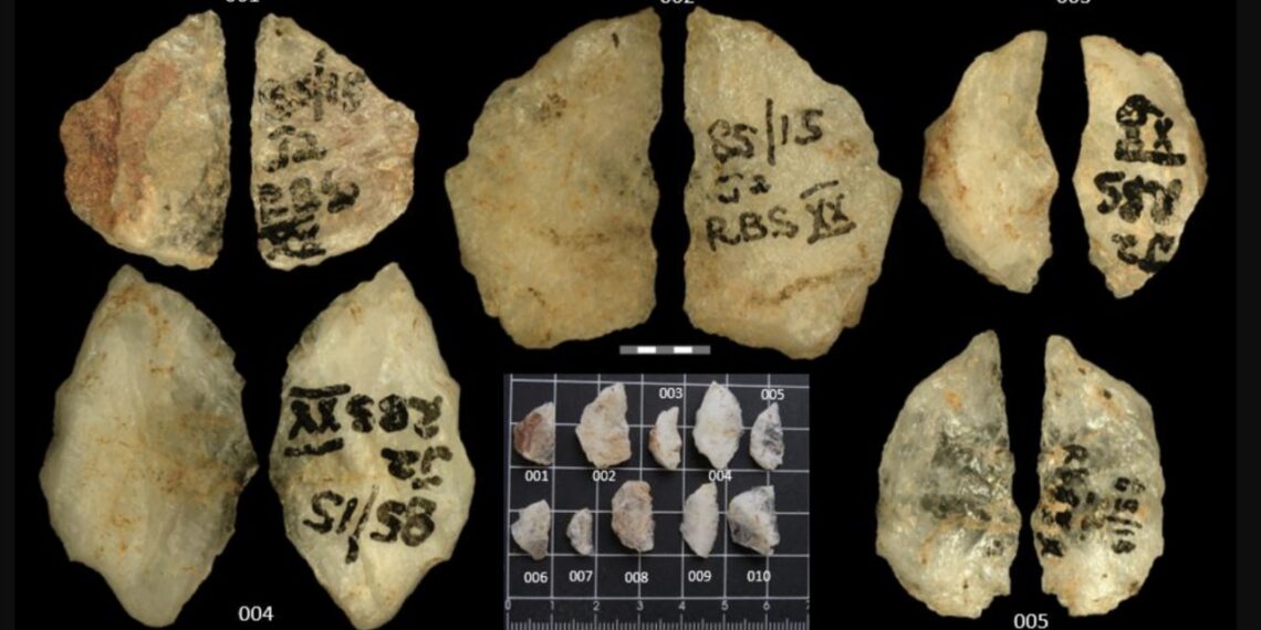60 tūkst. metų senumo „cheminis“ ginklas: nuodų prisotintos strėlės perrašo žmonijos pradžią