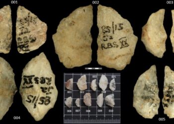 60 tūkst. metų senumo „cheminis“ ginklas: nuodų prisotintos strėlės perrašo žmonijos pradžią