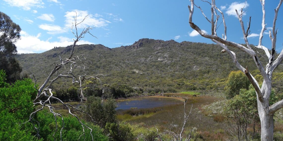 AI apgavo pasaulį: turistai masiškai plūsta į Tasmaniją ieškoti neegzistuojančių turistinių atrakcijų