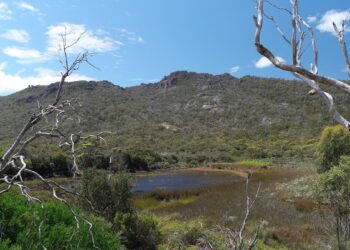 AI apgavo pasaulį: turistai masiškai plūsta į Tasmaniją ieškoti neegzistuojančių turistinių atrakcijų