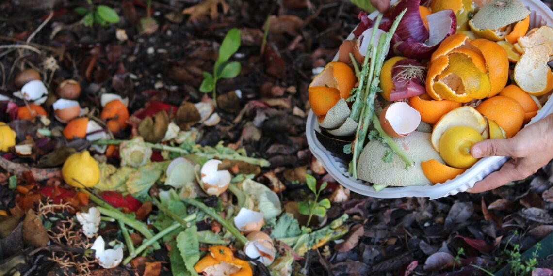 Anglų sodininkų komposto paslaptis: neįprastos šiukšlės, kurios geriau maitina dirvą ir sugeria drėgmę