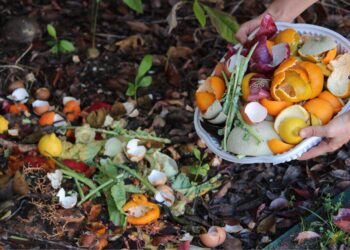 Anglų sodininkų komposto paslaptis: neįprastos šiukšlės, kurios geriau maitina dirvą ir sugeria drėgmę