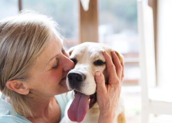 Ar meilė ant keturių letenų gali pakeisti partnerį? Nauja tendencija šokiruoja psichologus