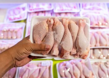 Ar tikrai vištiena kimšte kimšta antibiotikais ir hormonais? Štai kas slepiama nuo pirkėjų