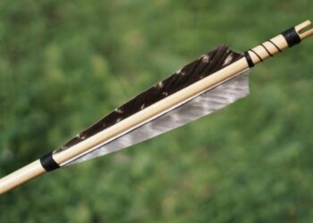 Archeologai rado 60 tūkst. metų senumo nuodingų strėlių antgalius: atradimas keičia žmonijos istoriją