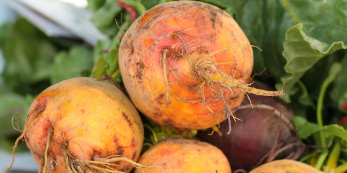 Auksinis burokėlis užkariauja daržus: gydytojai nustėro nuo šio šakniavaisio naudos