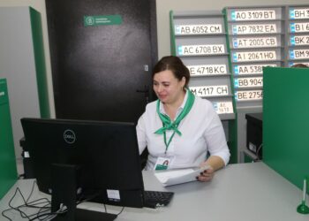 Automobiliai su humoru ir charakteriu: 2025 m. ukrainiečių numeriai stebina visą pasaulį