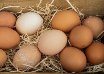 Baltas ar rudas kiaušinis? Šokiruojanti tiesa atskleista: sužinosite, ką slepia lukštas!