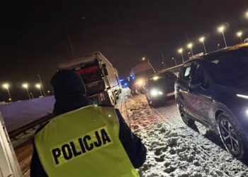 Benzyna, diesel ar elektra: kuris automobilis tave išgelbės per naktį įstrigus sniego spąstuose?