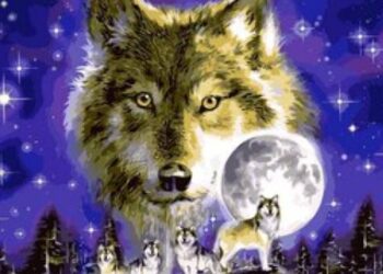 Dangaus fiestos sausį: Vilko Mėnulis, superpilnatis, kvadrantidų liūtis ir įspūdingas Jupiterio šou