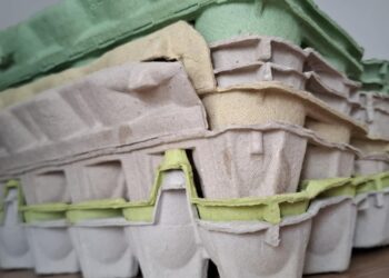 Dažniausiai be gailesčio išmetate tai į šiukšlyną, bet klystate – sužinokite, kam tai iš tiesų praverčia