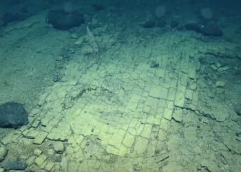 Dugne rasto „kelio į Atlantidą“ paslaptis: mokslininkų paaiškinimas šokiruoja net skeptikus