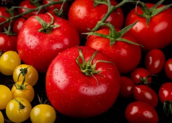 Geniali gudrybė, kaip išlaikyti pomidorus šviežius keliskart ilgiau – dar nebandėte taip daryti