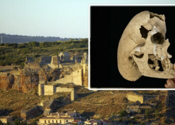 Ispanijoje rado viduramžių riterį su šiurpia kaukolės deformacija: mokslininkai priblokšti