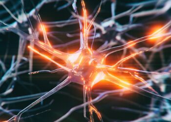 Jauniausia Alzheimerio auka pasaulyje: gydytojai netiki tuo, ką parodė jos smegenys