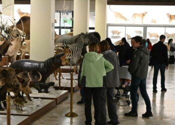 Kauno Tado Ivanausko zoologijos muziejus traukia minias: rekordiniai lankytojai ir naujos interaktyvios ekspozicijos