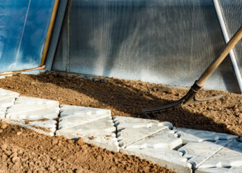 Kodėl patyrę daržininkai žiemą krauna sniegą į šiltnamį: netikėta nauda derliui ir dirvai