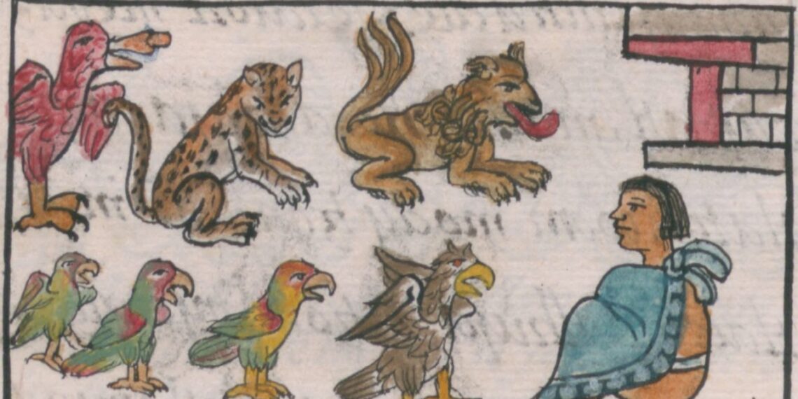 Kraują kraupinantis Montezumos siaubo zoologijos sodas: jaguarai, vilkai ir žmonių aukos