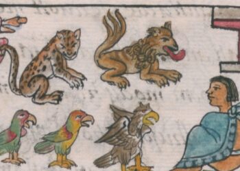 Kraują kraupinantis Montezumos siaubo zoologijos sodas: jaguarai, vilkai ir žmonių aukos