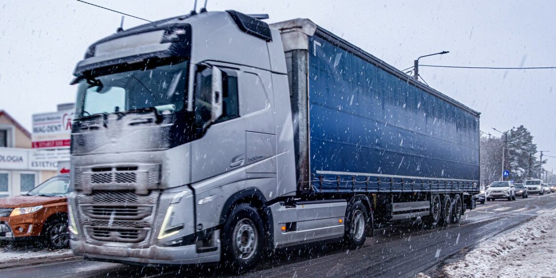 Ledo luitas nuo vilkiko sutraiškė automobilį: kas sumokės ir kokią lemtingą klaidą daro vairuotojai?