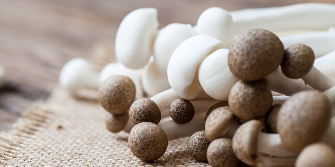 Ignoruotas maistinis stebuklas: šie grybai staigiai mažina cholesterolį ir užveda imunitetą