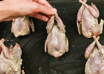 Lenkai pamiršo šią mėsą: dietologai šokiruoti – ji sveikesnė už vištieną ir kalakutieną