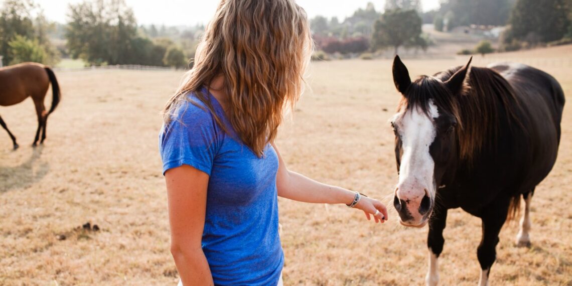 Lenkijoje nauja šokiruojanti mada: influencerės prieš kameras kremta skanėstus, skirtus arkliams