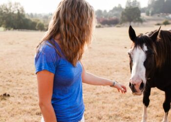 Lenkijoje nauja šokiruojanti mada: influencerės prieš kameras kremta skanėstus, skirtus arkliams