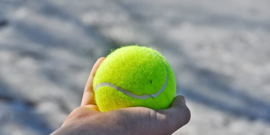 Lenkų kierowcai pamišę dėl teniso kamuoliuko garaže: genijus triukas sutaupo tūkstančius