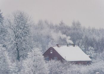 Lietuvą sukaustys speigas iki -25: kokia temperatūra name iš tiesų sveikiausia žiemą?