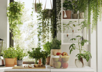 Lietuviai permoka virtuvėje: 7 išmanūs įpročiai, kurie staiga sumažins mėnesines sąskaitas