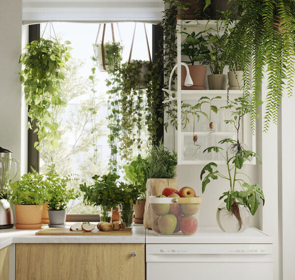 Lietuviai permoka virtuvėje: 7 išmanūs įpročiai, kurie staiga sumažins mėnesines sąskaitas